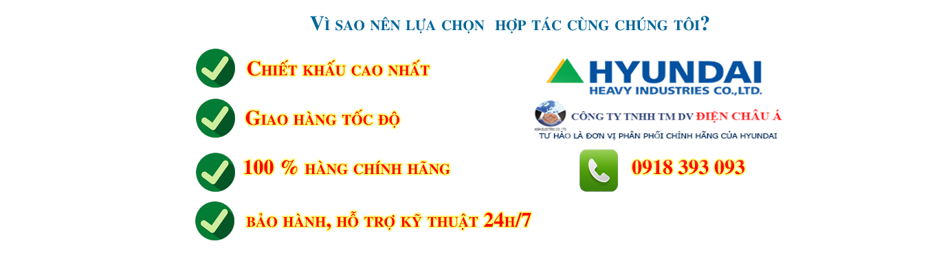 mccb 2p hyundai chinh hang 1