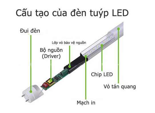 Cấu tạo của đèn LED Tube