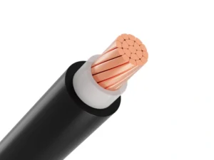 Feature image day cap cxv