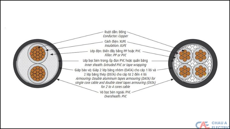 Cau tao cua cap cxv dsta 2