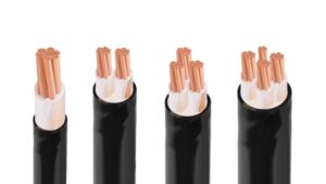 Feature image Dac diem cua cap cxv dsta