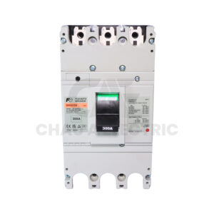 BW403S0-300 FUJI CHAU A