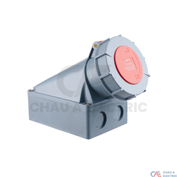 MPN-1342 2 MPE CHAU A