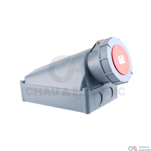 MPN-1442 2 MPE CHAU A