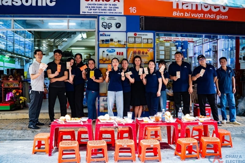 Giới thiệu Điện Châu Á 4 Tập thể Công ty Điện Châu Á