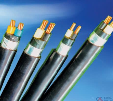 Cáp điện Lion 4 lõi