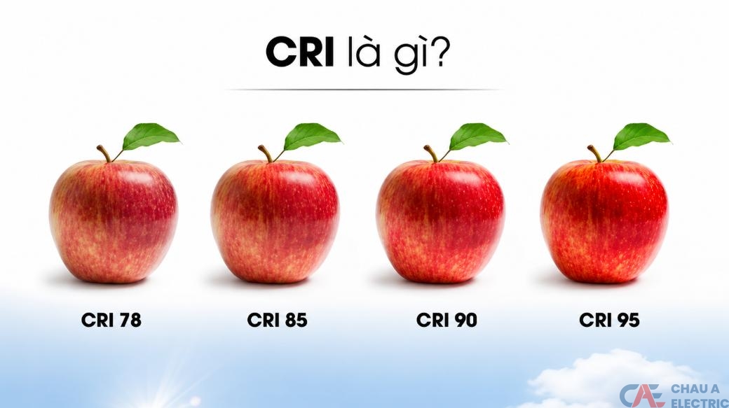 Chỉ số hoàn màu CRI là thước đo để đánh giá khả năng của nguồn sáng trong việc hiển thị màu sắc
